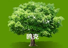 西安鷗克新型建材有限公司 西安鷗克新型建材有限公司